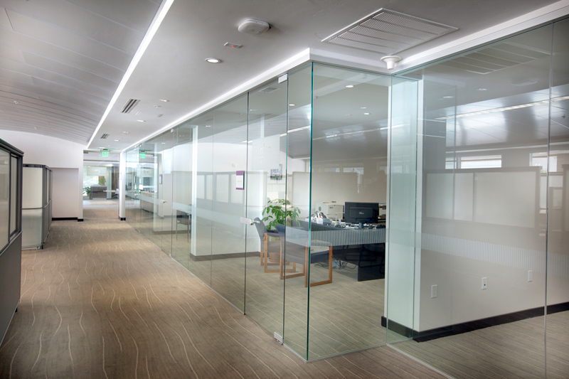 Glass office partitions within a modern office environment.