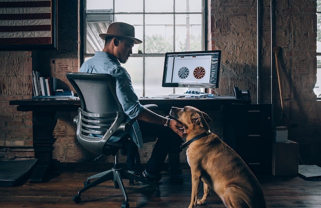 dog being pet by man who is using computer for work